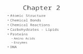 Chapter 2 Atomic Structure Chemical Bonds Chemical Reactions Carbohydrates – Lipids Proteins –Amino Acids –Enzymes DNA.