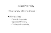 Biodiversity The variety of living things Three Kinds –Genetic Diversity –Species Diversity –Ecological Diversity.