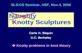 SLS/CS Seminar, USF, Nov.4, 2008 Naughty Knotty Sculptures Carlo H. Séquin U.C. Berkeley  Knotty problems in knot theory.