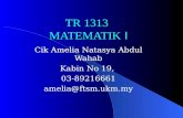 TR 1313 MATEMATIK I Cik Amelia Natasya Abdul Wahab Kabin No 19, 03-89216661 amelia@ftsm.ukm.my.