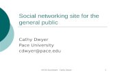 HICSS Socialware - Cathy Dwyer1 Social networking site for the general public Cathy Dwyer Pace University cdwyer@pace.edu.