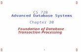 1 CS 728 Advanced Database Systems Chapter 20 Foundation of Database Transaction Processing.