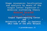 Shape resonances localization and analysis by means of the Single Center Expansion e-molecule scattering theory Andrea Grandi and N.Sanna and F.A.Gianturco.