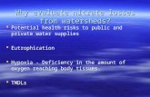Why evaluate nitrate losses from watersheds?   Potential health risks to public and private water supplies   Eutrophication   Hypoxia - Deficiency.