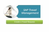 Getting You There Travel Management Project 11/08/09 1 SAP Travel Management Create a Travel Request.