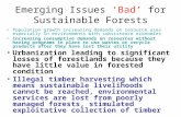 Emerging Issues ‘Bad’ for Sustainable Forests Population growth increasing demands on resource uses especially in environments with subsistence economies.