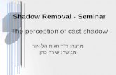 Shadow Removal - Seminar The perception of cast shadow מרצה: ד"ר חגית הל-אור מגישה: שירה כהן.