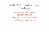 MCB 720: Molecular Biology Eukaryotic gene organization Restriction enzymes Cloning vectors.