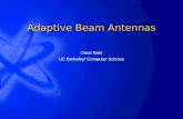 Adaptive Beam Antennas Omar Bakr UC Berkeley/ Computer Science.