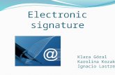 Klara Góral Karolina Kozak Ignacio Lastres Electronic signature.