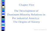 Chapter Five The Development of Dominant-Minority Relations in Pre industrial America: The Origins of Slavery © Pine Forge Press, an imprint of Sage Publications,