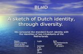 A sketch of Dutch identity, through diversity. We compared the standard Dutch identity with the identities of two inhabitants of the Netherlands. BLaID.