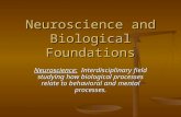 Neuroscience and Biological Foundations Neuroscience: Interdisciplinary field studying how biological processes relate to behavioral and mental processes.