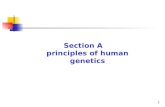 1 Section A principles of human genetics. 2 Chapter 1.
