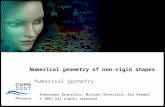 1 Numerical geometry of non-rigid shapes Numerical Geometry Numerical geometry of non-rigid shapes Numerical geometry Alexander Bronstein, Michael Bronstein,
