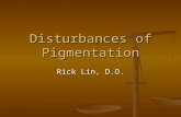 Disturbances of Pigmentation Rick Lin, D.O.. Melanin primary pigment producing brown coloration primary pigment producing brown coloration Tyrosine –
