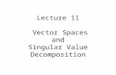 Lecture 11 Vector Spaces and Singular Value Decomposition.