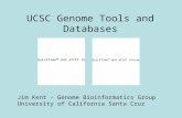 UCSC Genome Tools and Databases Jim Kent - Genome Bioinformatics Group University of California Santa Cruz.