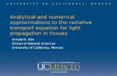 Analytical and numerical approximations to the radiative transport equation for light propagation in tissues Arnold D. Kim School of Natural Sciences University.