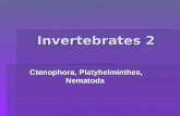 Invertebrates 2 Ctenophora, Platyhelminthes, Nematoda.