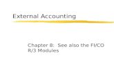 External Accounting Chapter 8: See also the FI/CO R/3 Modules.