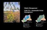Matrix Management FOR 272 – Sustainable Forest Management.