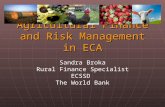 Agricultural Finance and Risk Management in ECA Sandra Broka Rural Finance Specialist ECSSD The World Bank.