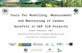 Tools for Modelling, Measurement and Monitoring of Carbon Benefits in GEF SLM Projects Gemma Shepherd, UNEP Side Event at UNCCD COP10, Changwon, Republic.