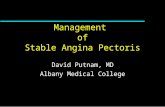 Management of Stable Angina Pectoris David Putnam, MD Albany Medical College.