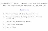 Overview 1.The Structure of the Visual Cortex 2.Using Selective Tuning to Model Visual Attention 3.The Motion Hierarchy Model 4.Simulation Results 5.Conclusions.