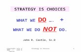 Copyright July 2008 John R. Castle Strategy Is Choices1 STRATEGY IS CHOICES WHAT WE DO …. + WHAT WE DO NOT DO. John R. Castle, Sc.D.