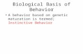 Biological Basis of Behavior A behavior based on genetic maturation is termed; Instinctive Behavior.