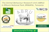 The Animal Behaviour Research Unit (ABRU) in Mikumi National Park (MINAPA), Tanzania.