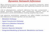 Dynamic Network Inference Most statistical work is done on gene regulatory networks, while inference of metabolic pathways and signaling networks are done.