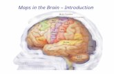 Maps in the Brain – Introduction. Overview A few words about Maps Cortical Maps: Development and (Re-)Structuring Auditory Maps Visual Maps Place Fields.