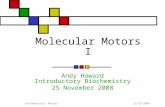 11/25/2008Biochemistry: Motors Molecular Motors I Andy Howard Introductory Biochemistry 25 November 2008.