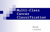 1 Multi-Class Cancer Classification Noam Lerner. 2 Our world – very generally Genes. Gene samples. Our goal: classifying the samples. Example: We want.