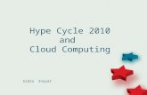 Hype Cycle 2010 and Cloud Computing Sidra Inayat.