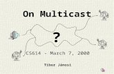 On Multicast CS614 - March 7, 2000 Tibor Jánosi ?.