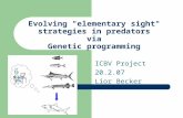 Evolving "elementary sight" strategies in predators via Genetic programming ICBV Project 20.2.07 Lior Becker.