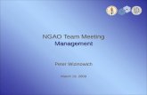NGAO Team Meeting Management Peter Wizinowich March 19, 2009.