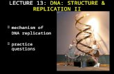 F mechanism of DNA replication F practice questions LECTURE 13: DNA: STRUCTURE & REPLICATION II.