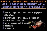 F model system: sea hare ( Aplysia californica ) F behavior: the gill & siphon withdrawal reflex F even more cell biology: learning & memory F summary.