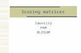 Scoring matrices Identity PAM BLOSUM. Scoring Matrices Types Identity matrix – exact matches receive one score and non-exat matches a different score.