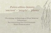 Processing Archaeological Plant Material Subsistence Reconstructing Past Environments Plant Domestication Paleo-ethno-botany 'ancient' - 'people' - 'plants'