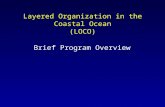 Layered Organization in the Coastal Ocean (LOCO) Brief Program Overview.