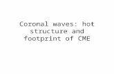Coronal waves: hot structure and footprint of CME.