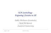 Stanford University August 22, 2001 TCP Switching: Exposing Circuits to IP Pablo Molinero-Fernández Nick McKeown Stanford University.