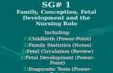 SG# 1 Family, Conception, Fetal Development and the Nursing Role Including: 1)Childbirth (Power-Point) 2)Family Statistics (Notes) 3)Fetal Circulation.