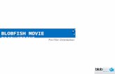 BLOBFISH MOVIE PRODUCTIONS Pre-Film Orientation INTRODUCTION.
